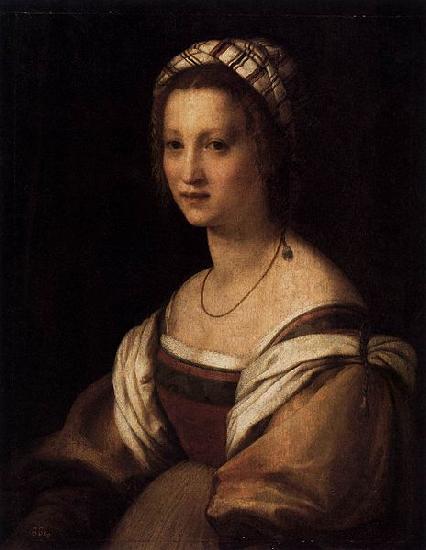 Andrea del Sarto Portrait of the Artists Wife oil painting image